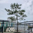 샘마을길 이미지