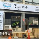 꽃보다개냥 네이버블로그