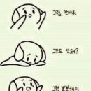 위위필라테스 이미지