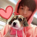 쓰담쓰담 이미지