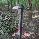 화학산등산로 이미지