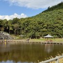 수변공원 정자옆 | 대구 가을 가볼만한곳 ‘운암지 수변공원’ 칠곡 산책로 주차