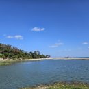 감포횟집 이미지