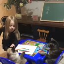 그림교실 이미지