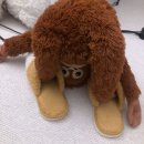 용죽4로 이미지