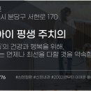 판교종합동물병원 네이버블로그