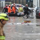 도지초등학교 이미지