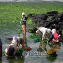펌-리서치(주) 이미지