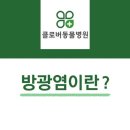 클로버 동물병원 이미지