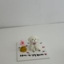 댕브레드 이미지