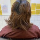 보정동미용실 &lt;쁄라 헤어살롱&gt; 추천
