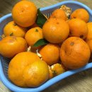 행복나무민박 이미지