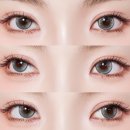 쿨톤렌즈 고양이렌즈 오로라렌즈 미유 하바나 그린 내돈내산 솔직 후기