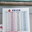 옹암 | 아이들과 함께한 장봉도 옹암해변 후기+정보(장봉도 백패킹)