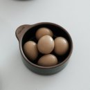 서운농협 | 춘천 반찬가게 추천 &#39;춘천반찬&#39; 도시락 김밥 제사음식 단체 주문 가능!(내돈내산)