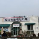 칠곡동물체험카페 이미지