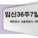 양미혜산부인과