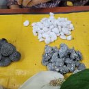 부용보건진료소 이미지