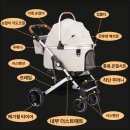 대중도기 | 가르르 도기로버 강아지 유모차 추천 리뷰 | 반려견 외출 필수템