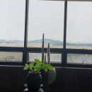 해송전망대카페