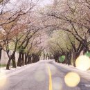 (주) 인앤아웃충주점(충주휴게소) | 2025 충주여행 엄마랑 다녀 온 특별한 1박2일 ( 수안보온천 /맛집/유람선 휠체어 여행 )