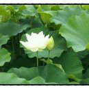 여일한의원 이미지