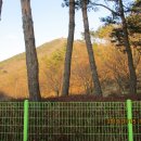 부산추모공원 이미지