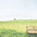 특별한 날의 요리 이미지