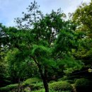 두댐이공원 화장실 이미지