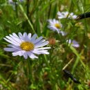 대종1리 이미지