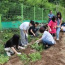 대창초등학교 이미지