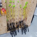 조부장바다낚시터 이미지