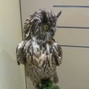 농업역사박물관 이미지