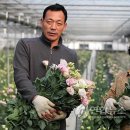 다모아농장 이미지