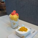 투썸플레이스 대전도룡점 | 투썸 5월 신메뉴 망고 시리즈 : 미키 망고 요거트프라페, 떠먹는 망고생 솔직히 그냥 그럼..