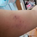 챠밍댄스 (초급) | 대한폴댄스연맹 순천점에서 6주차 운동 후기