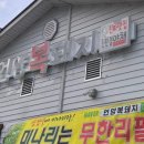 언양 복돼지 이미지