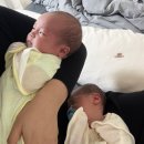 연희우리약국 | 쌍둥이 출산ㅣ신생아 육아 용품ㅣ출생신고 및 다둥이 서류