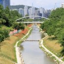 보리밭 이미지