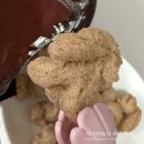 (ABC)스낵 | 롯샌 설레임, 빵빠레 소프트스낵 초코우유맛 롯데과자 #내돈내산