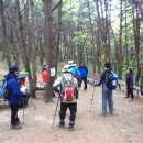 쉼터농장 이미지