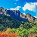 월산무릉아트프라자 이미지