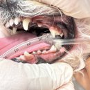 티앤디덴탈 이미지