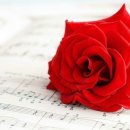 호박나이트 이미지