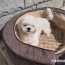 오공농장 이미지