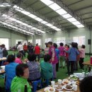 오가게이트볼장 이미지