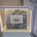 골오기네뜰 | D+206) 웨딩 스튜디오 촬영 준비 (2)