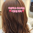 에이치헤어(H hair) 이미지