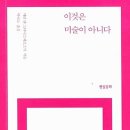 메리앤수