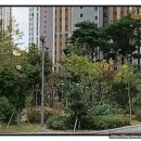 일광자이푸르지오2차어린이집 이미지